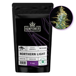 Hempower Seeds fem. Northern Light 5pcs Hempower Seeds fem. Northern Light 5pcs