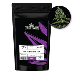 Hempower Seeds fem. Watermelon Jam 5pcs Hempower Seeds fem. Watermelon Jam 5pcs
