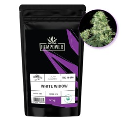 Hempower Seeds White Widow fem. 5pcs Hempower Seeds White Widow fem. 5pcs