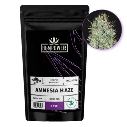 Hempower Seeds fem. Amnesia Haze 5pcs Hempower Seeds fem. Amnesia Haze 5pcs