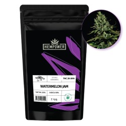 Hempower Seeds fem. Watermelon Jam 2pcs Hempower Seeds fem. Watermelon Jam 2pcs