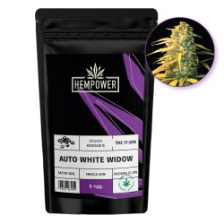 Hempower Seeds Auto White Widow fem. 5pcs Hempower Seeds Auto White Widow fem. 5pcs