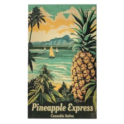 Kapart Statement Art – “Pineapple Express!”