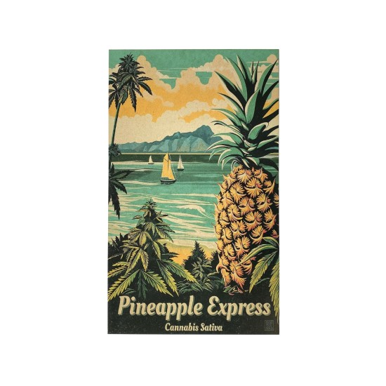 Kapart Statement Art – “Pineapple Express!”